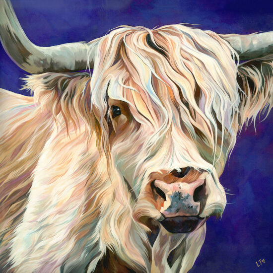 A white highland cow painting, Ronnie