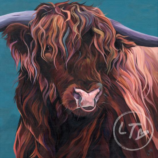 Highland Bull Limited Edition Print