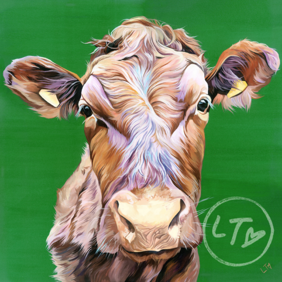 Limousin Cow, Copper by Lauren's Cows