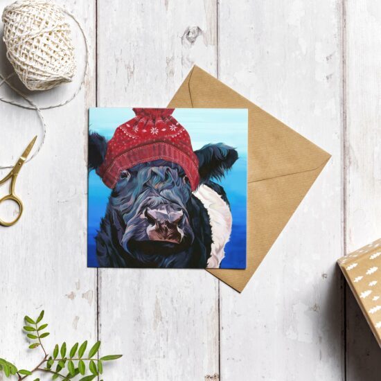 Belted Galloway Christmas Card by Lauren Terry