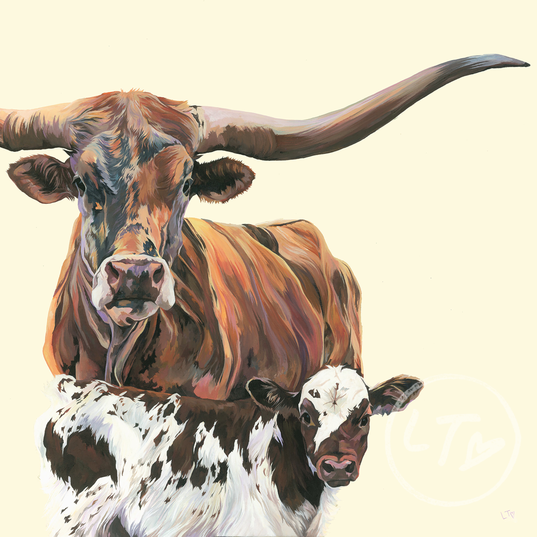 Texas Longhorn, Dsty and Dec by Lauren's Cows