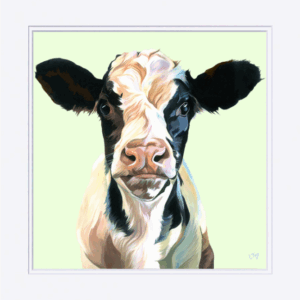 Frank, Large Mounted Print of Friesian Calf