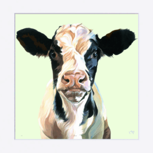 Frank, Small Mounted Print of Friesian Calf