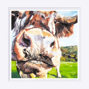 Holly, British Longhorn Mounted Print