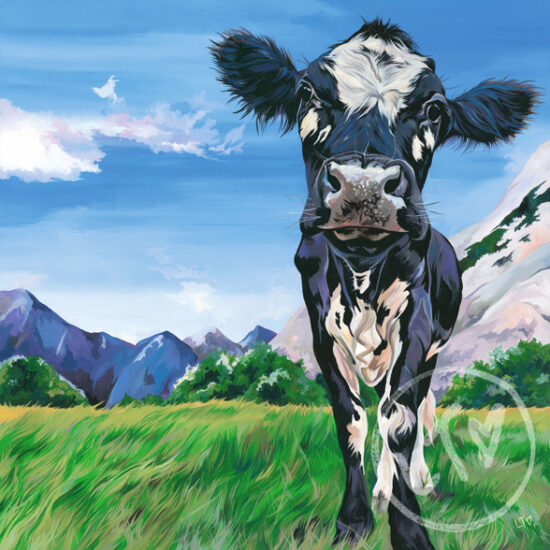 Fleckvieh cattle art print by Lauren Terry