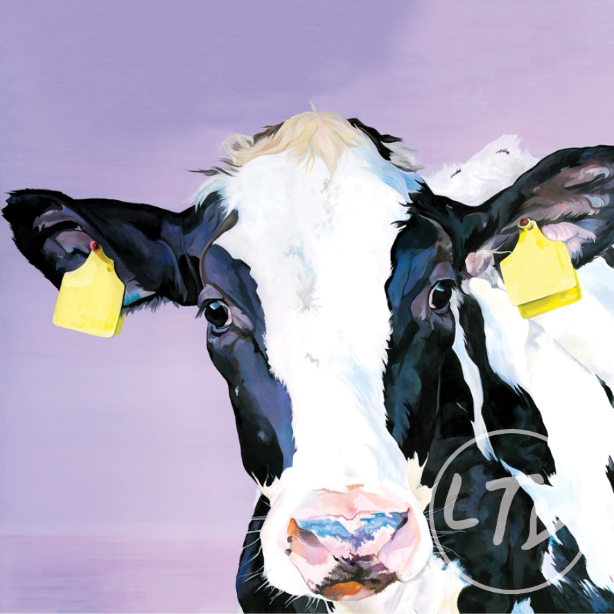 Friesian Calf, Minnie by Lauren's Cows