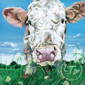 Simmental Cow, Parsley