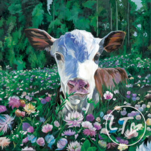 Hereford Calf Posy, by Lauren's Cows