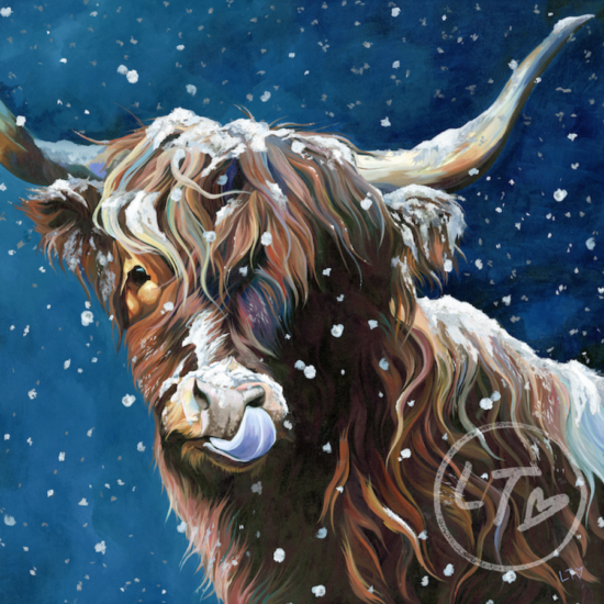 Snowflake, Snowy Highland Cow by Lauren's Cows
