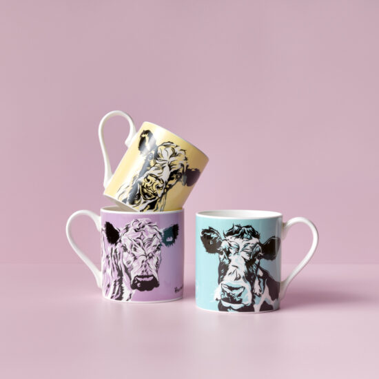 Colourful Mug Set