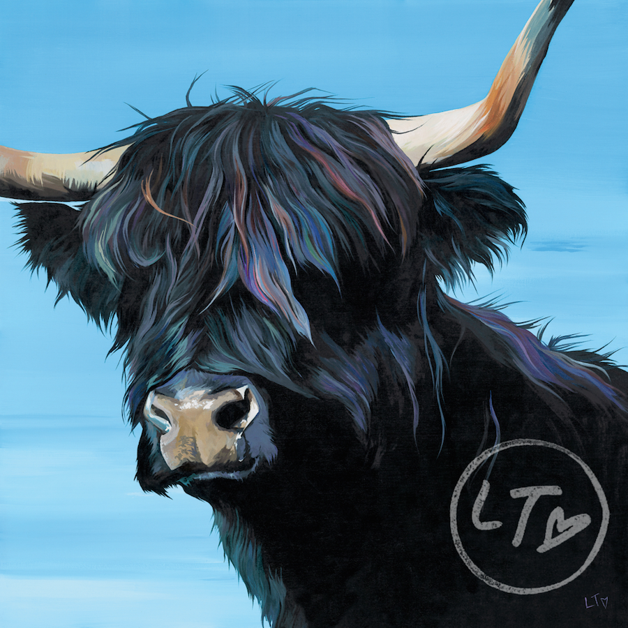 Tina, black highland cow by Lauren's Cows