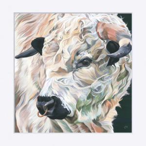 Wenlock, Small Mounted White Park Print