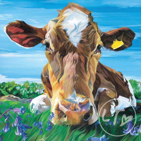 Bluebell, Guernsey Cow by Lauren Terry
