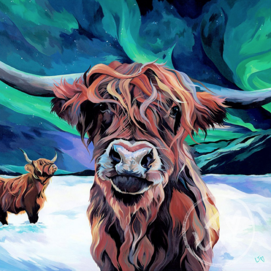 Highland Cow Under The Northern Lights by Lauren's Cows