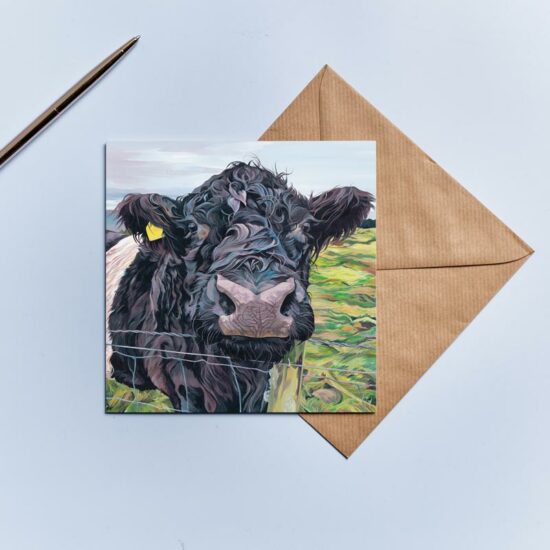 Belted Galloway Birthday Card