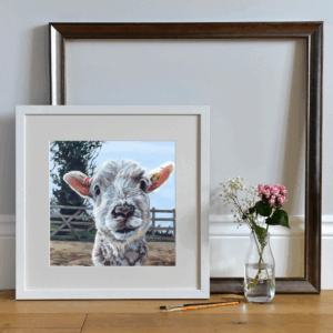 Baby Sheep Art Print 'Sonny'