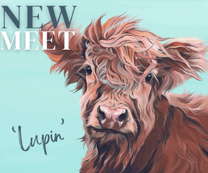 New Highland Calf Painting 'Lupin'