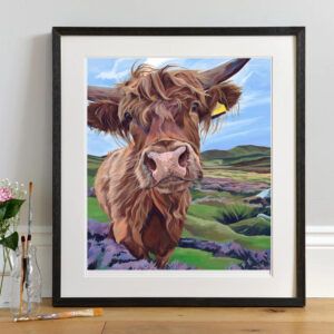 Isla, Highland Cattle in Scottish Heather