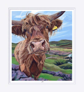 Isla, Mounted Print of Highland Cow in Heather