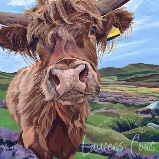 Isla, Highland Cow in Heather by Lauren Terry