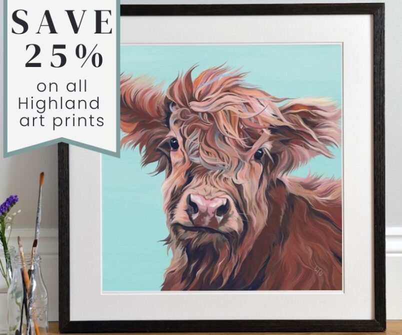 25% off Highland Cow Prints
